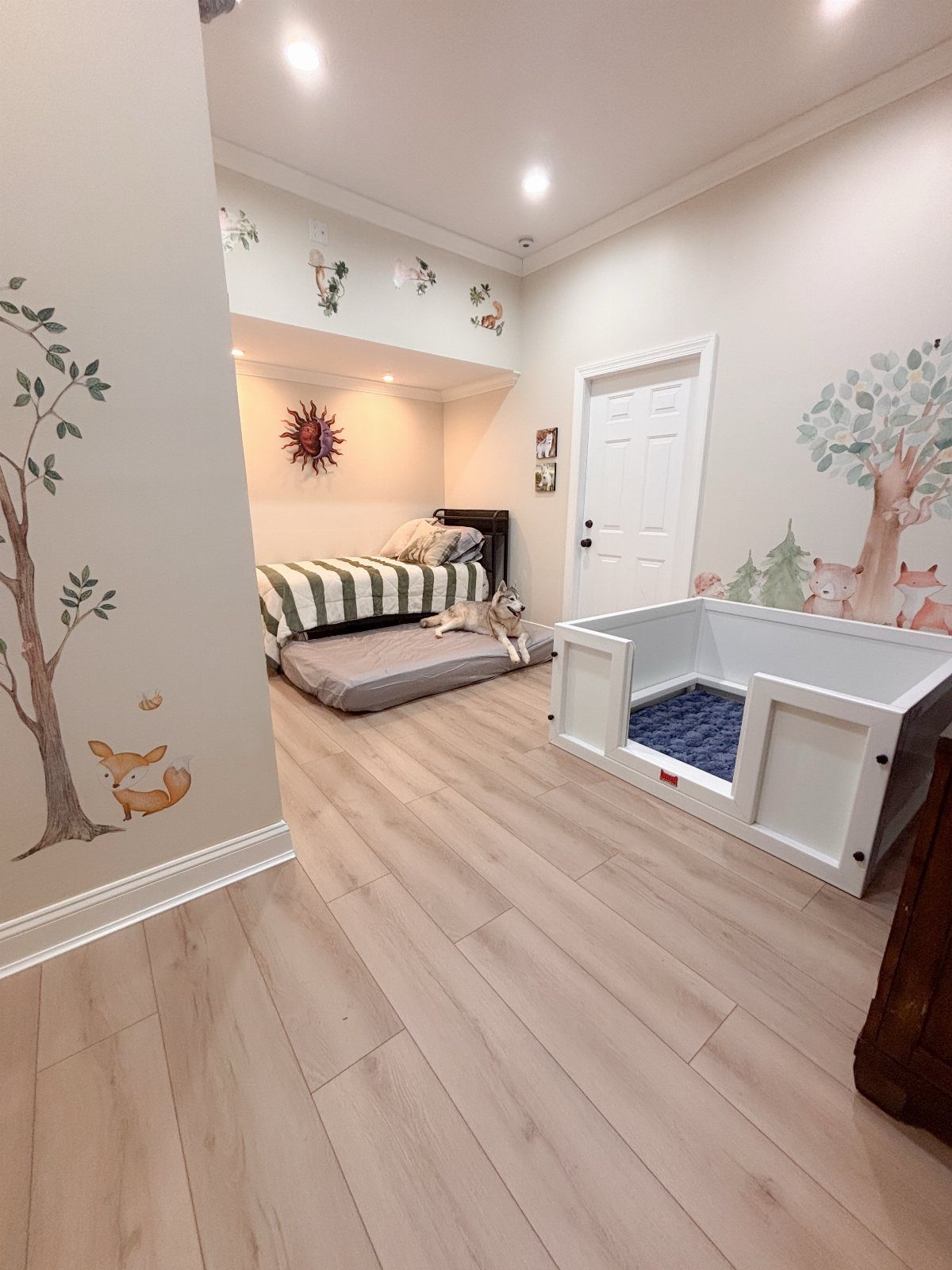 Lifeproof Easy Oak: 8 Installations That Show the Plank's Real Range 1 Light oak wood flooring in a decorated room with a dog and a pet playpen.